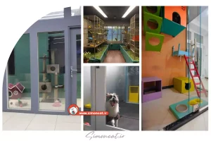 پانسیون حیوانات