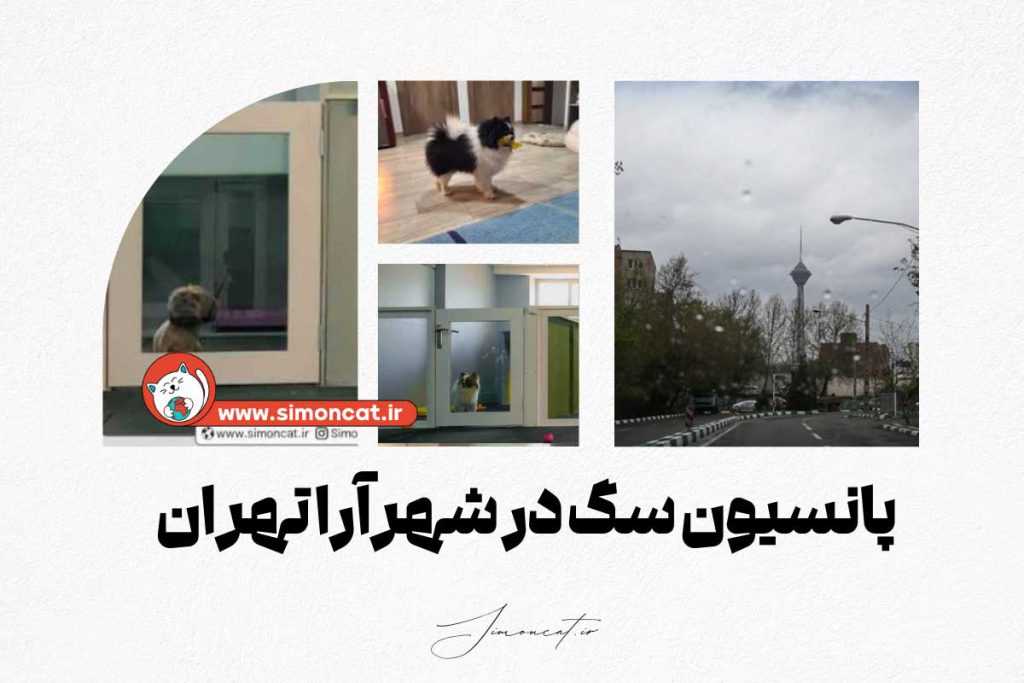 پانسیون سگ در شهرآرا تهران