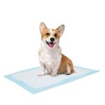 پد بهداشتی زیرانداز حیوانات خانگی مستر پنگوئن 5 عددی