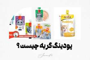 پودینگ گربه چیست؟