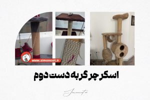 اسکرچر گربه دست دوم