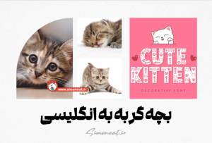 بچه گربه به انگلیسی