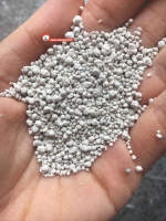 تصویر خاک گربه Cute Cat ساده