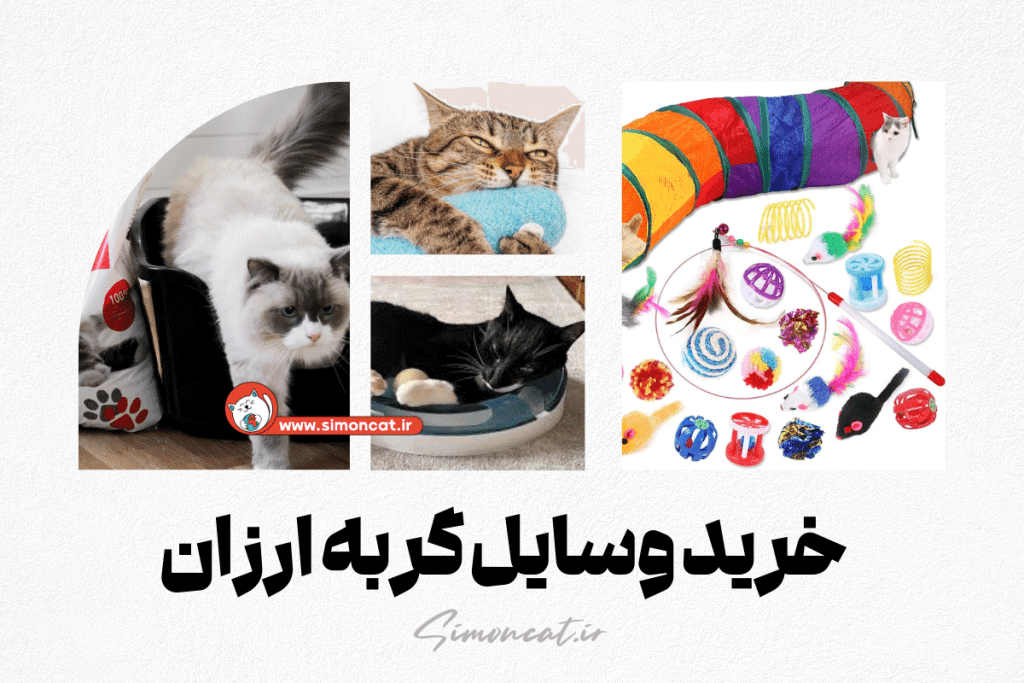 خرید وسایل گربه ارزان