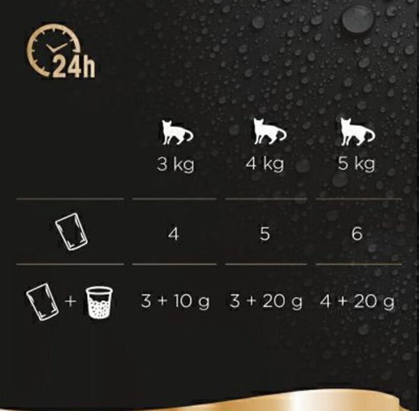 راهنما مصرف پوچ گربه شبا پک 6 عددی گوشت و ماهی تن