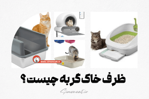 ظرف خاک گربه چیست؟