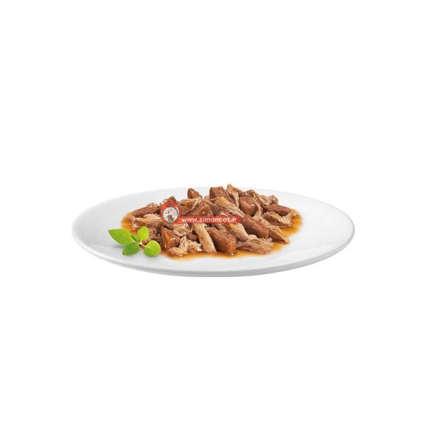 عکس کنسرو گربه گورمت طعم گوشت گاو و مرغ