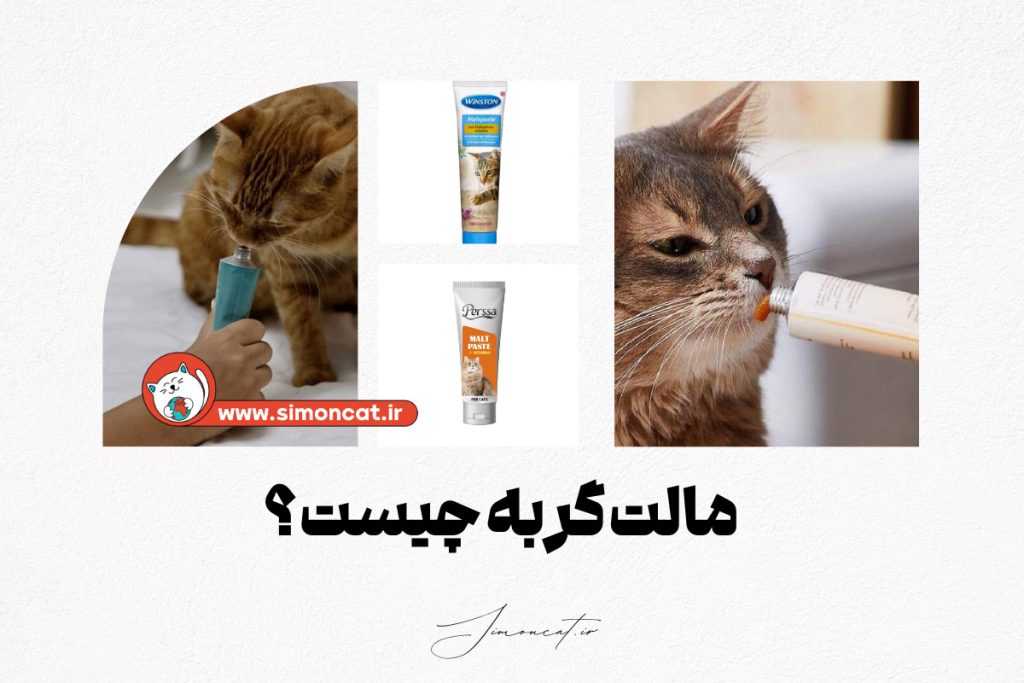 مالت گربه چیست؟