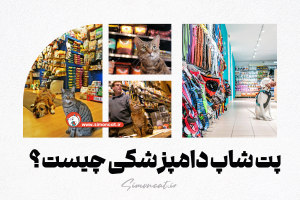 پت شاپ دامپزشکی چیست؟