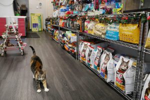 پت شاپ چیست ؟