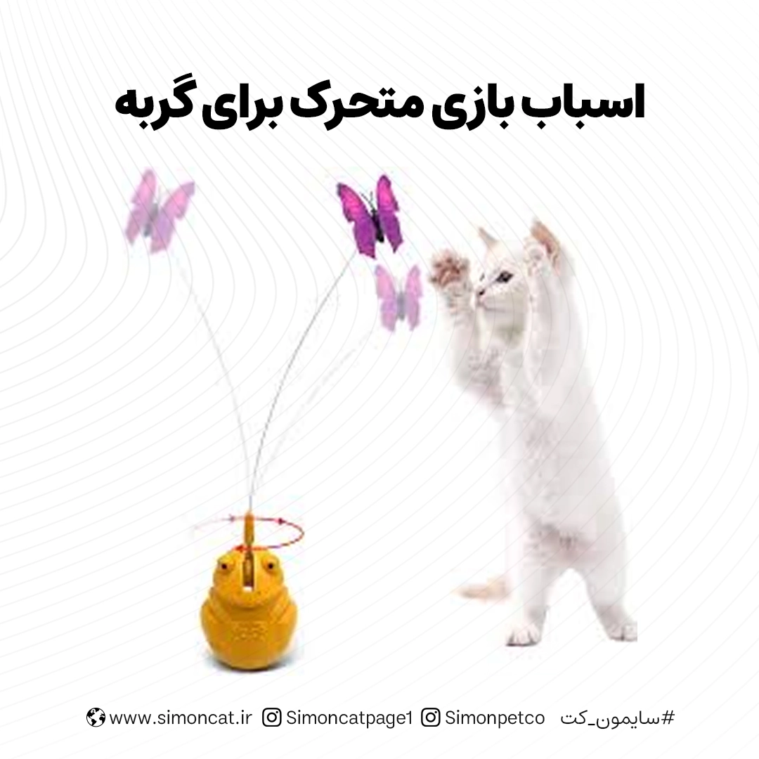 اسباب بازی متحرک برای گربه