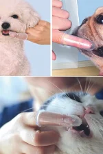 استفاده برای مسواک سیلیکونی انگشتی برای سگ و گربه