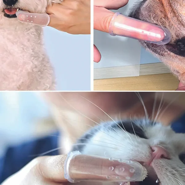 استفاده برای مسواک سیلیکونی انگشتی برای سگ و گربه