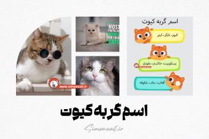 اسم گربه کیوت