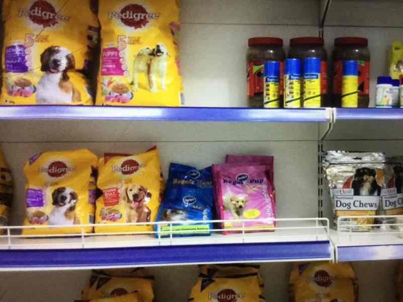 انواع غذای حیوانات خانگی