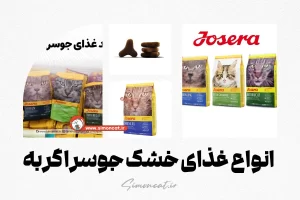 انواع غذای خشک جوسرا گربه