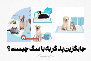 جایگزین پد گربه یا سگ چیست؟