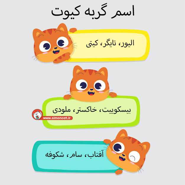 عکس اسم گربه کیوت