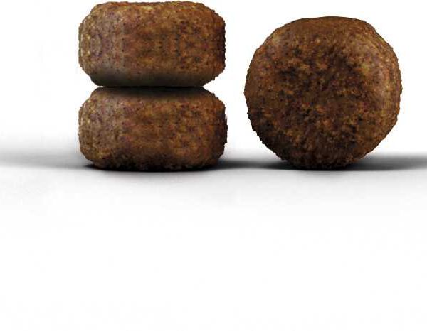 غذای خشک گربه Josera مدل Dailycat