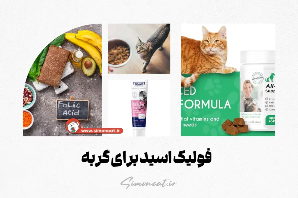 فولیک اسید برای گربه