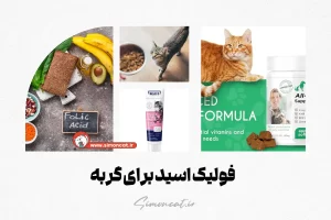فولیک اسید برای گربه