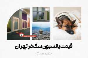 قيمت پانسيون سگ در تهران