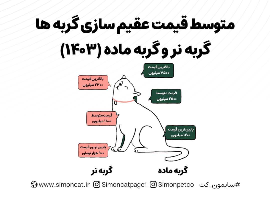 متوسط قیمت عقیم سازی گربه ماده و نر در سال 1403