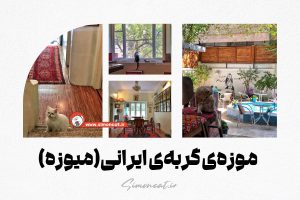 موزه‌ی گربه‌ی ایرانی(میوزه)