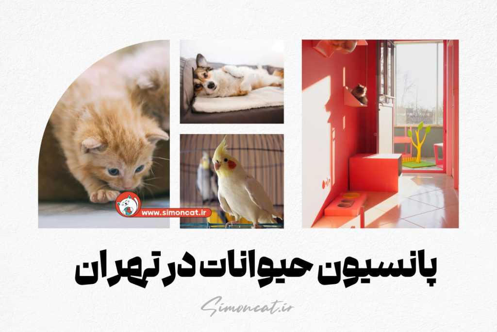 پانسیون حیوانات در تهران
