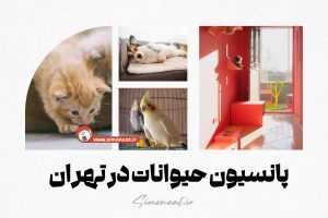 پانسیون حیوانات در تهران