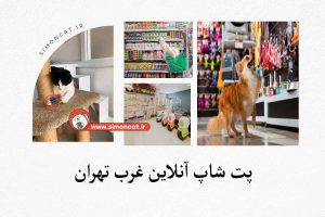 پت شاپ انلاین غرب تهران