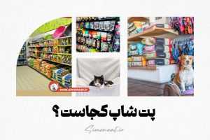 پت شاپ کجاست؟