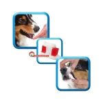 خمیر دندان با طعم جگر