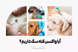آیا واکسن کنه سگ داریم؟