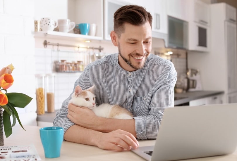 بهترین شغل ها برای متولدین سال گربه
