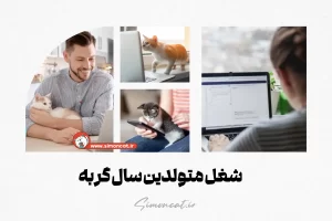 شغل متولدین سال گربه