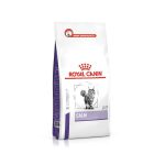 غذا خشک رویال کنین