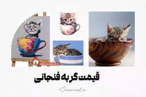 قیمت گربه فنجانی