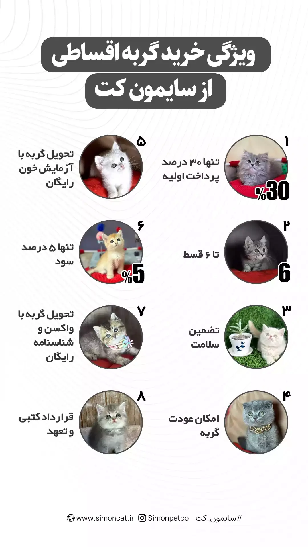 ویژگی خرید گربه قسطی از سایمون کت
