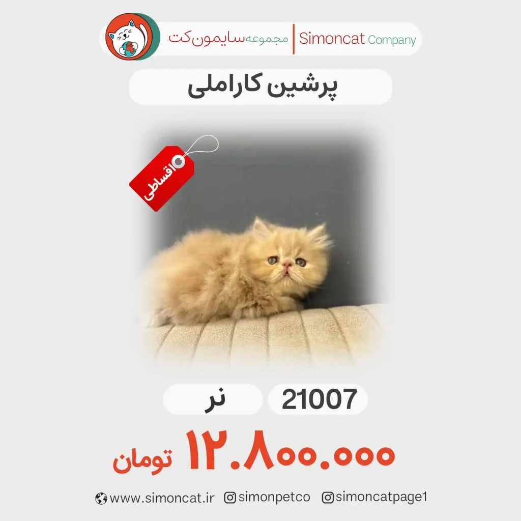 پرشین کاراملی کد 21007
