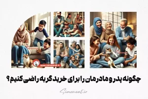 چگونه پدر و مادرمان را برای خرید گربه راضی کنیم؟