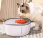 آبنمای گربه آووکادو