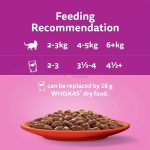 طریقه مصرف پوچ گربه ویسکاس گوشت گوساله 85 گرم