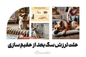 علت لرزش سگ بعد از عقیم سازی