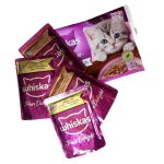 پوچ بچه گربه whiskas