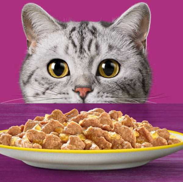 پوچ گربه بالغ whiskas