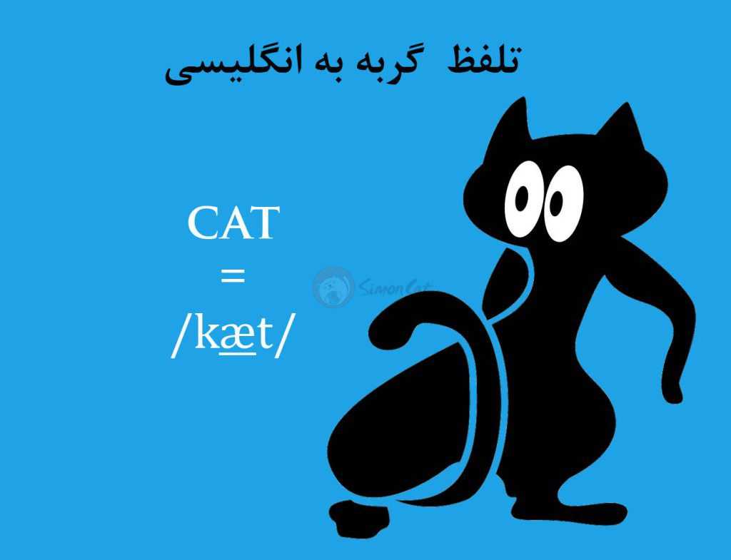 تلفظ واژه Cat