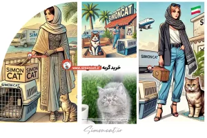 خرید گربه در بندرعباس