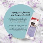 شامپو آرام کننده گربه و سگ بایولاین با رایحه بابونه