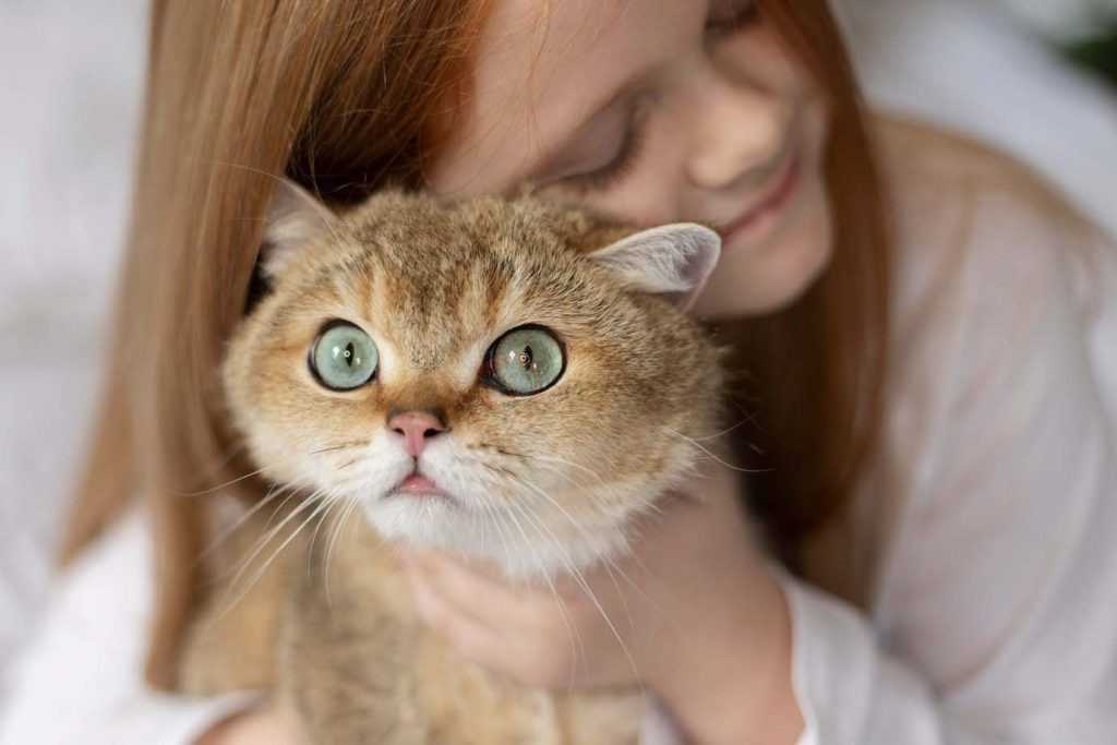 عشق به گربه ها